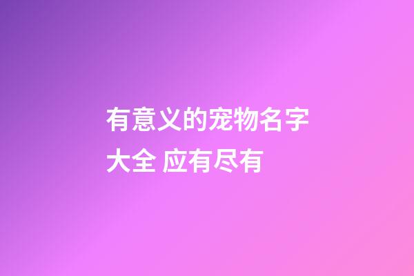 有意义的宠物名字大全 应有尽有